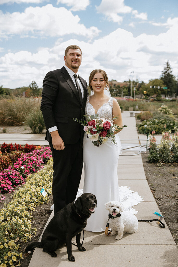 Cute picture of the bride and groom with their pups