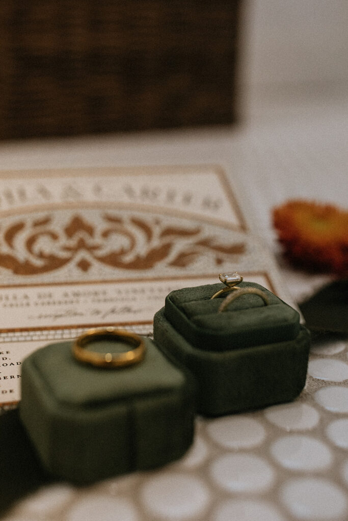 beautiful closeup shot of the wedding rings